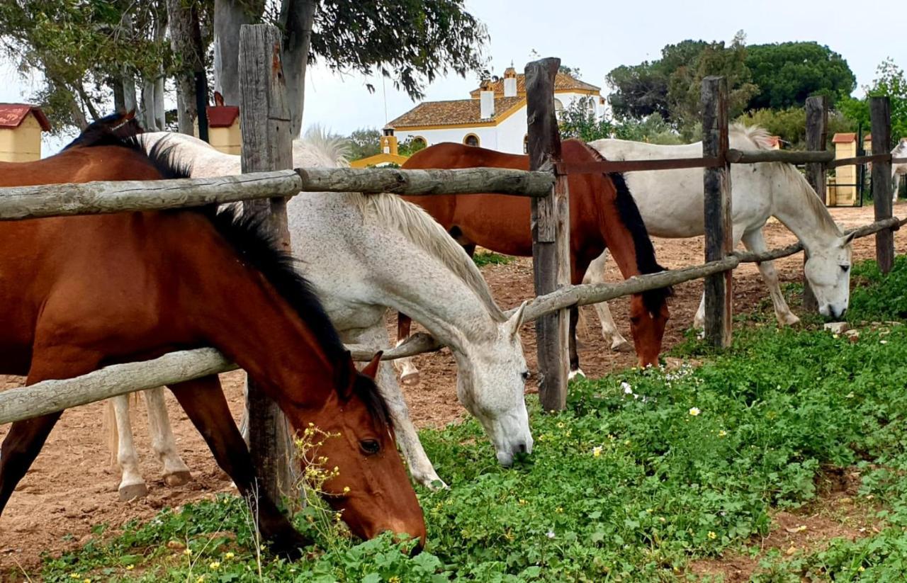 Posada Rural La Corbera Утрера Екстер'єр фото