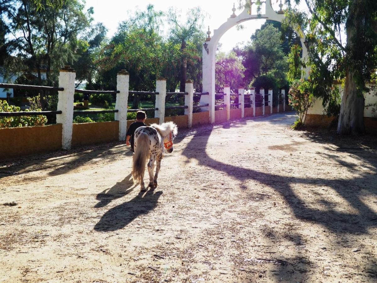 Posada Rural La Corbera Утрера Екстер'єр фото