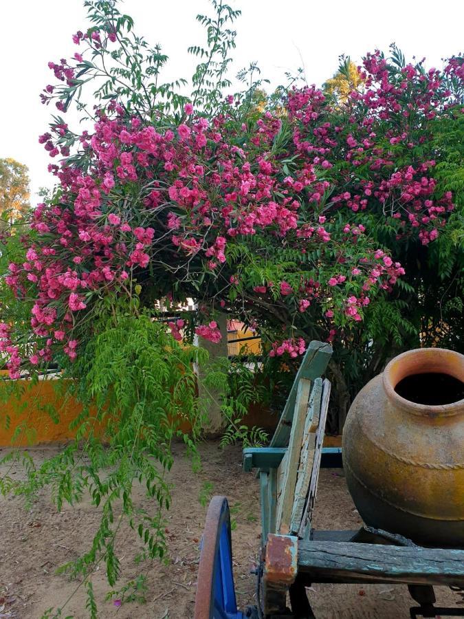 Posada Rural La Corbera Утрера Екстер'єр фото