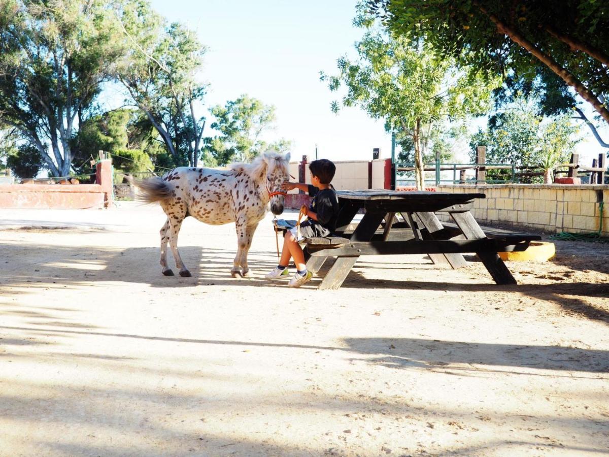 Posada Rural La Corbera Утрера Екстер'єр фото